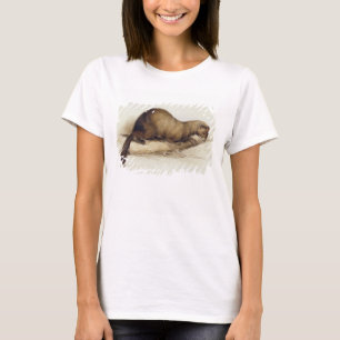 Camiseta Uma doninhas, 1832 (w/c, ove da caneta, da tinta,