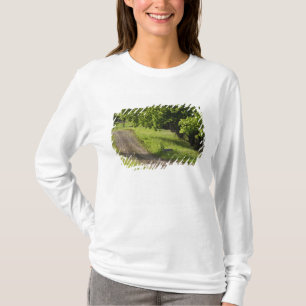 Camiseta Uma estrada de fazenda em Ipswich, Massachusetts