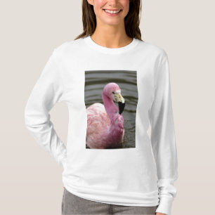 Camiseta Uma foto cativa de um Flamingo Andino