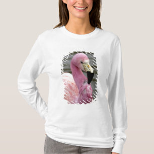 Camiseta Uma foto cativa de um Flamingo Andino