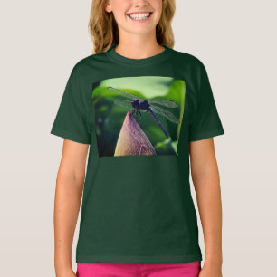 Camiseta Uma libélula pousa delicadamente