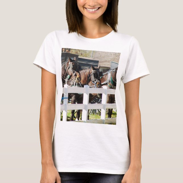 Camiseta Uma Linha de Cavalos Amish (Frente)