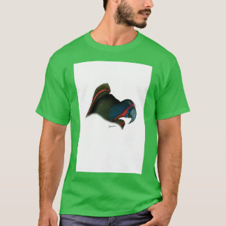 Camiseta uma lória negra