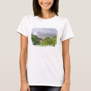 Camiseta Uma opinião Ailsa Craig e a ilha de Arran, 1860