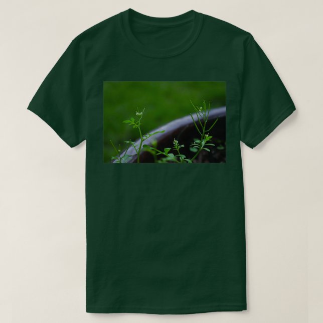 Camiseta Uma planta muito bonita (Frente do Design)