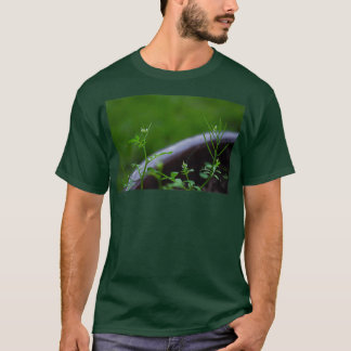 Camiseta Uma planta muito bonita
