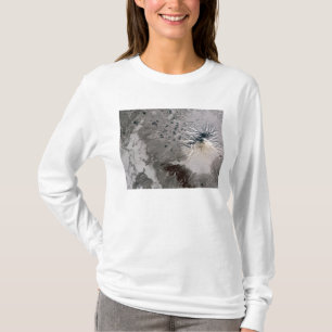 Camiseta Uma pluma rica em cinzas sobe