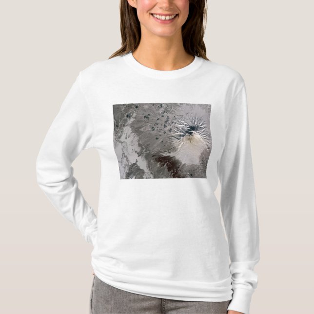 Camiseta Uma pluma rica em cinzas sobe (Frente)