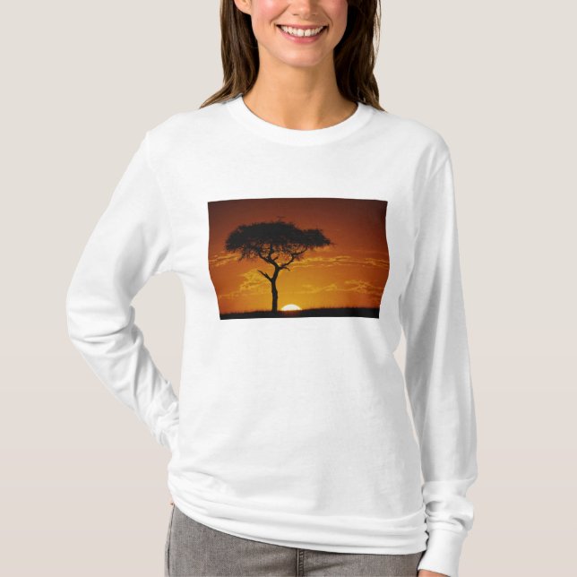 Camiseta Umbrella Thorn Acacia, Acacia tortilis (Frente)