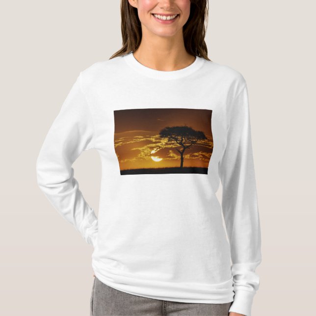Camiseta Umbrella Thorn Acacia, Acacia tortilis (Frente)