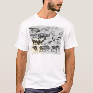 Camiseta Ungulata ou animais Hoofed