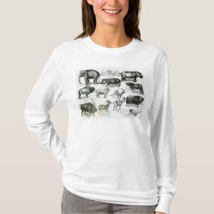 Camiseta Ungulata ou animais Hoofed