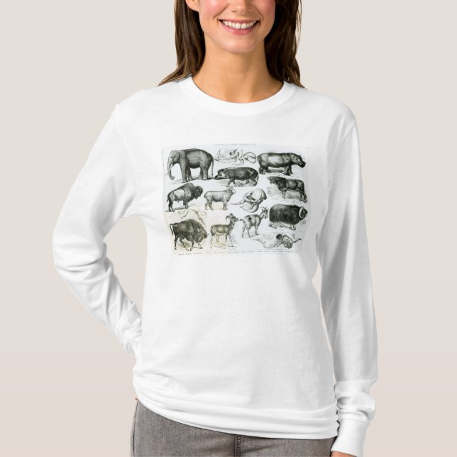 Camiseta Ungulata ou animais Hoofed (Frente)