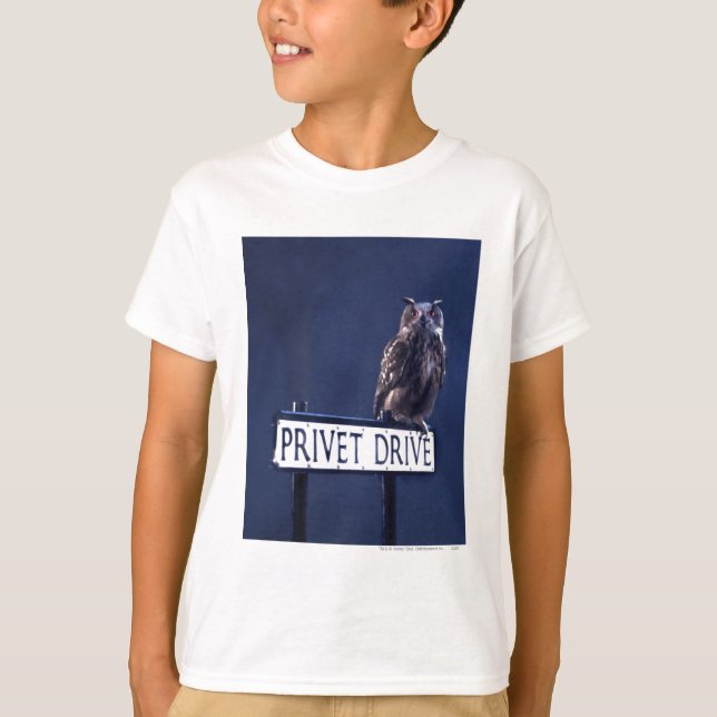 Camiseta Unidade Privet (Frente)