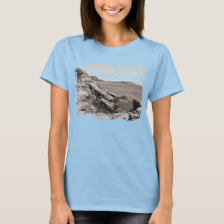 Camiseta Unisex Otter Point, Acadia National Park