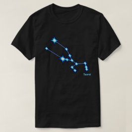 Camiseta Unisex T-Shirt Taurus