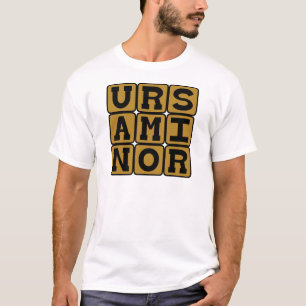 Camiseta Ursa Minor, Constelação da Ursa Menor