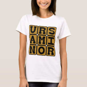 Camiseta Ursa Minor, Constelação da Ursa Menor