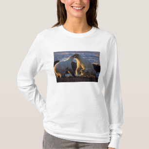 Camiseta Ursas polares com filhote ao lado, 1002 costeira