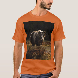Camiseta Urso