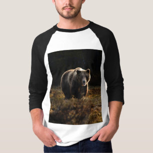 Camiseta Urso