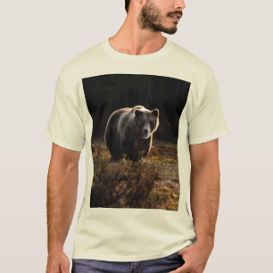 Camiseta Urso