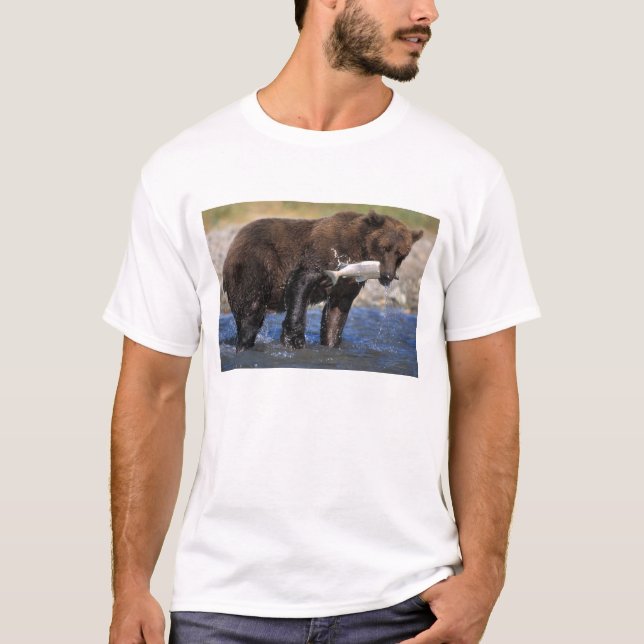 Camiseta Urso castanho, urso pardo, com capturas de salmão, (Frente)