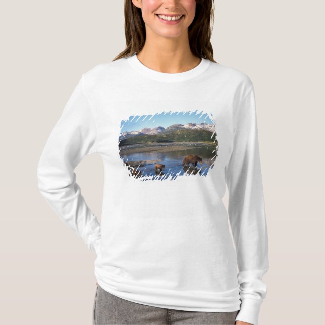 Camiseta Urso castanho, urso pardo, porcas e filhotes (Frente)