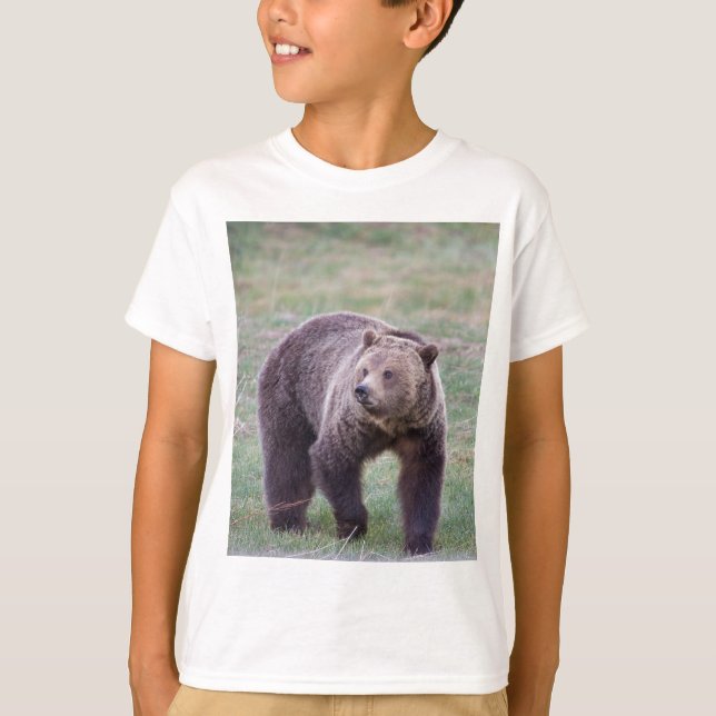 Camiseta Urso de urso (Frente)