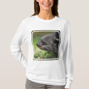 Camiseta Urso Hoody de Binturong