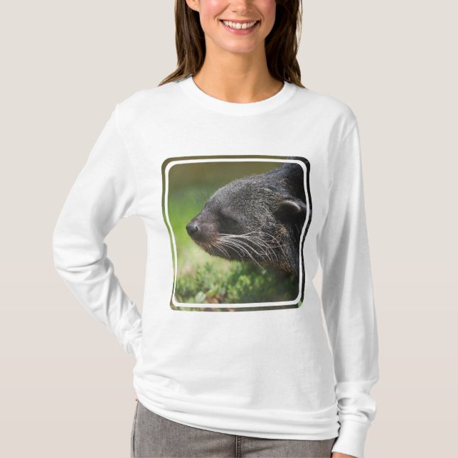 Camiseta Urso Hoody de Binturong (Frente)