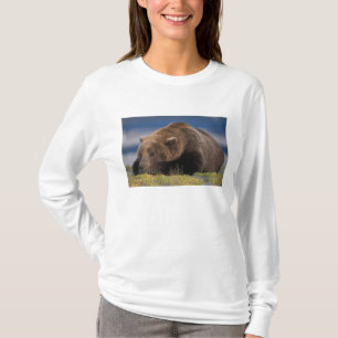 Camiseta Urso marrom, urso pardo, tirando uma soneca, Katma