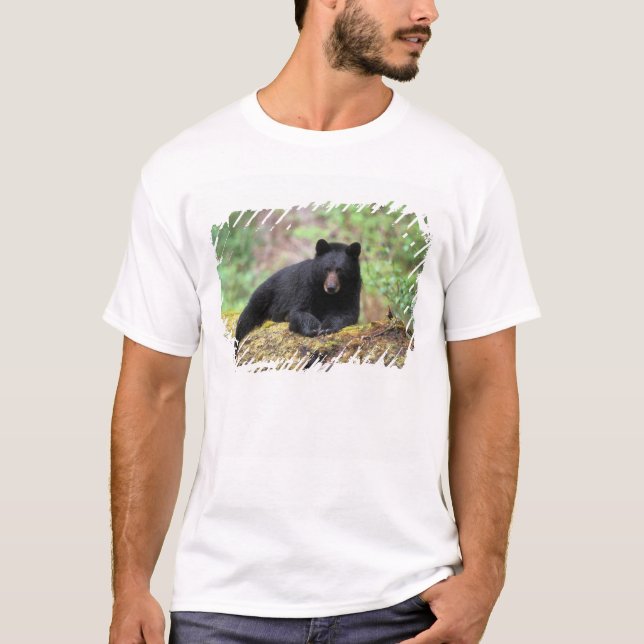 Camiseta Urso negro em um antigo tronco de crescimento no (Frente)