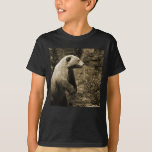 Camiseta Urso Ordenado 