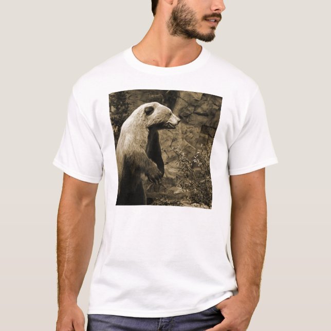 Camiseta Urso Ordenado (Frente)