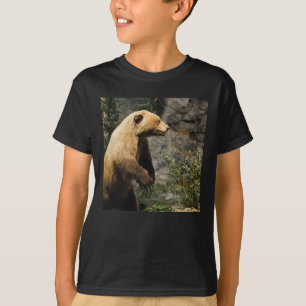 Camiseta Urso Ordenado