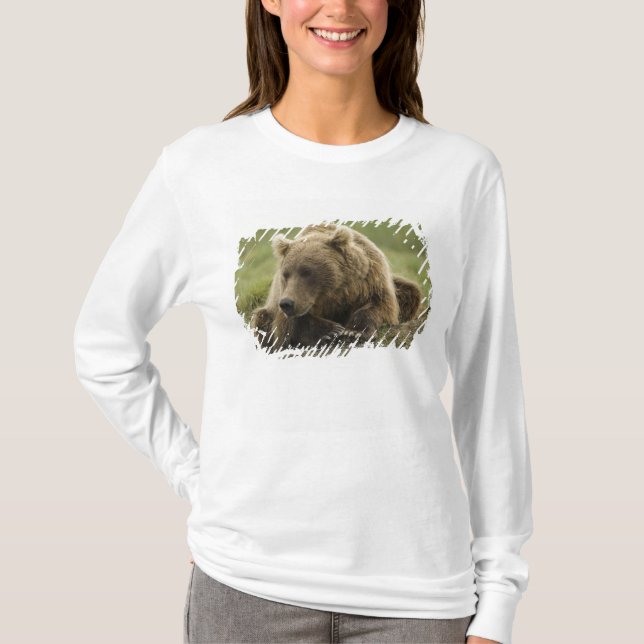 Camiseta Urso pardo, ou Urso Cinzento Costeiro, Ursus (Frente)