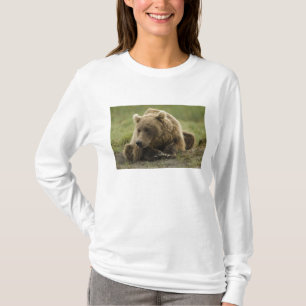 Camiseta Urso pardo, ou Urso Cinzento Costeiro, Ursus
