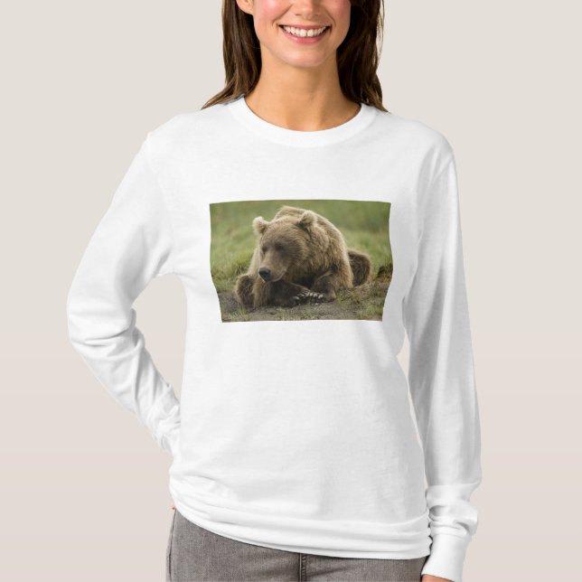 Camiseta Urso pardo, ou Urso Cinzento Costeiro, Ursus (Frente)