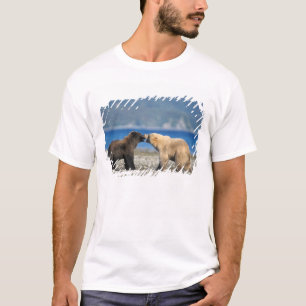 Camiseta Urso pardo, urso cinzento, brincar na praia,