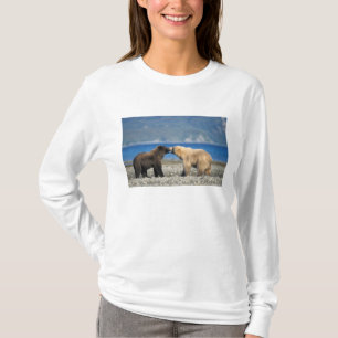 Camiseta Urso pardo, urso cinzento, brincar na praia,