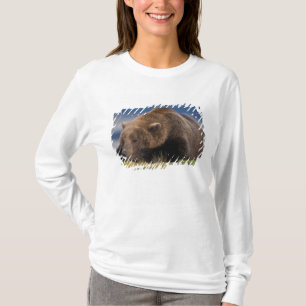 Camiseta Urso pardo, urso cinzento, dormindo, Katmai