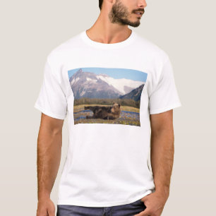 Camiseta Urso pardo, urso cinzento esticando-se de costas