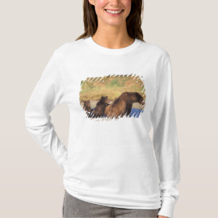 Camiseta Urso pardo, urso cinzento, porca com filhotes,