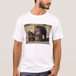 Camiseta Urso pardo, urso cinzento, porca com filhotes na c