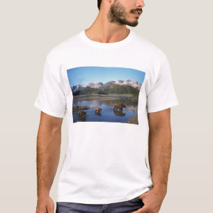 Camiseta Urso pardo, urso cinzento, porca e filhotes em