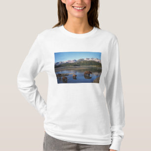 Camiseta Urso pardo, urso cinzento, porca e filhotes em