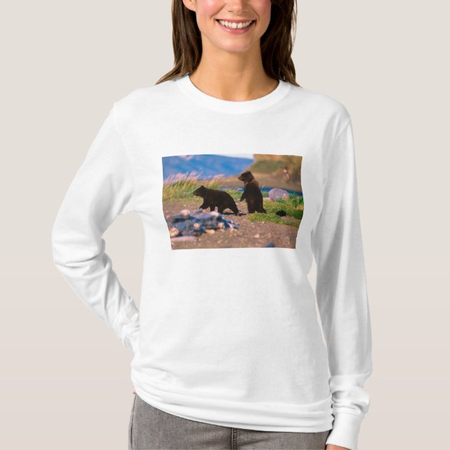 Camiseta Urso Pardo, Ursus arctos, Península do Alasca, (Frente)