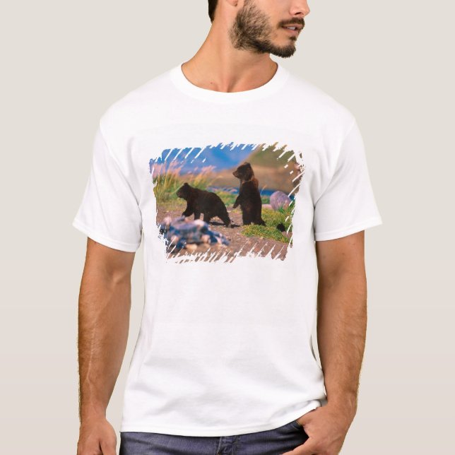 Camiseta Urso Pardo, Ursus arctos, Península do Alasca, (Frente)