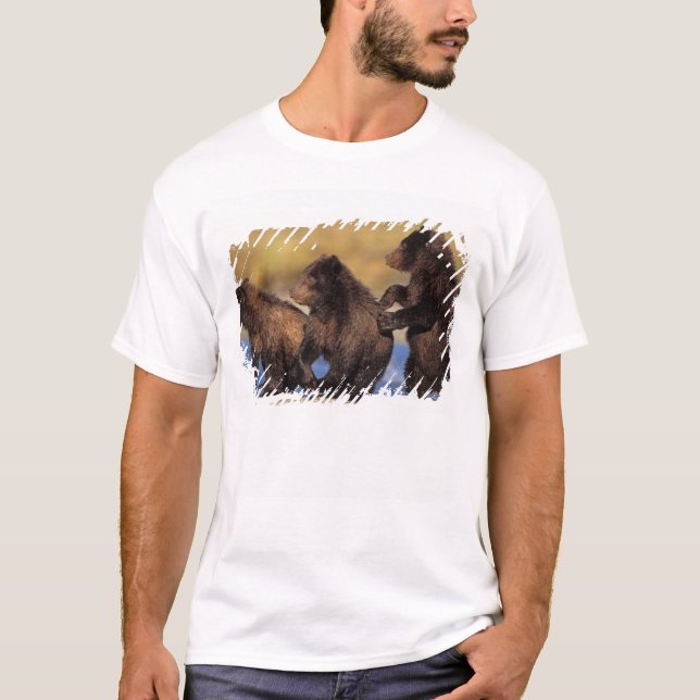 Camiseta urso pardo, Ursus arctos, urso cinzento, Ursus (Frente)
